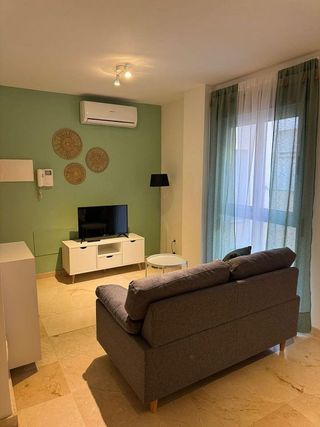 Piso en alquiler en Conde de Ureña - Monte Gibralfaro en Málaga