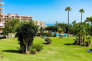 Estudio en alquiler en Parque de la Paloma en Benalmádena