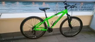 Bici Montaña Verde Resistente con Cuernos