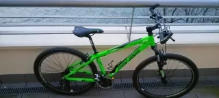 Bici Montaña Verde Resistente con Cuernos