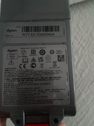 Aspirador Dyson SV28 Morado