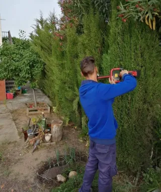 Jardinero económico