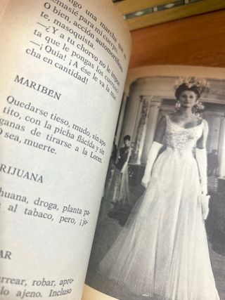 Diccionario del pasota