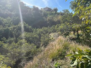 Terreno en venta en Frigiliana