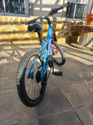 Bicicleta B-Pro 20 Azul y Rosa