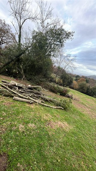 Desbrozo parcelas , jardineria etc