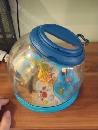 Insectario infantil con accesorios