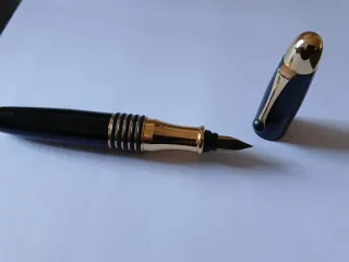 Pluma negra con detalles dorados