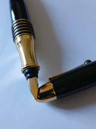 Pluma negra con detalles dorados