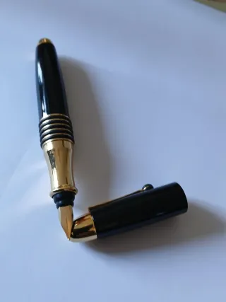 Pluma negra con detalles dorados