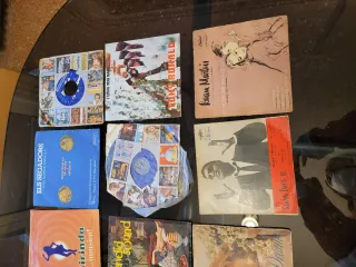 Lote Vinilos Varios Géneros