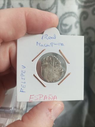 Real macuquino Felipe V