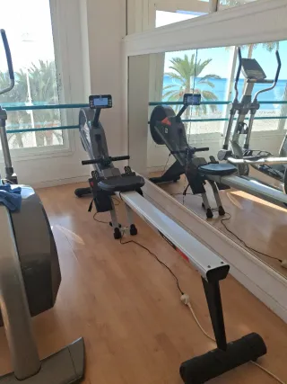 Máquina de Remo BH LK 5200