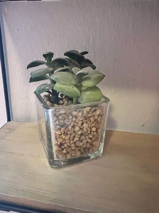 Estantería Decorativa Casa