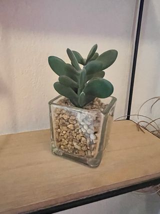 Estantería Decorativa Casa