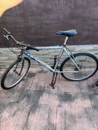 Bicicletas de montaña y paseo