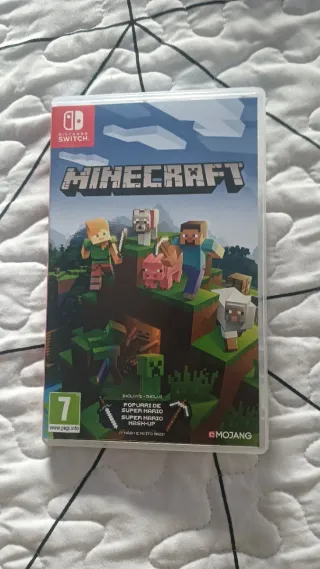 Minecraft Nintendo Switch