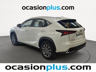 Lexus NX 300h Business 2WD 145 kW (197 CV)