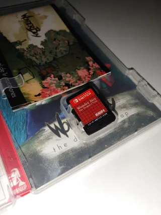 Wonder Boy: The Dragon's Trap Switch