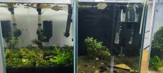 Estantería para acuarios/Gambarios/ Vetas