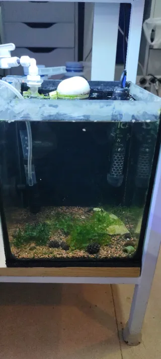 Estantería para acuarios/Gambarios/ Vetas