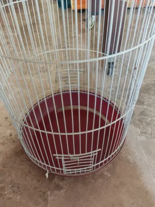 Jaula grande para Loro/Cacatúa