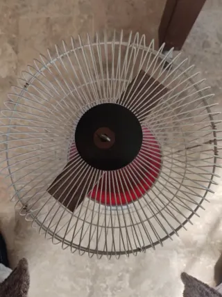 Jaula grande para Loro/Cacatúa