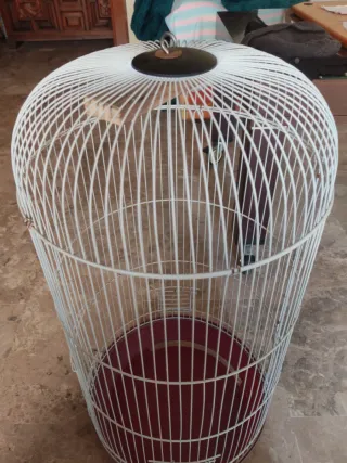 Jaula grande para Loro/Cacatúa