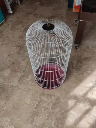 Jaula grande para Loro/Cacatúa