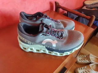 Zapatillas ON Running Cloudmonster