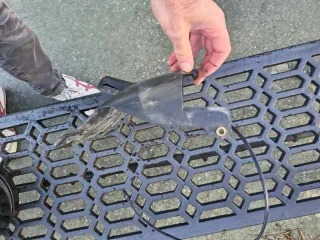 Luz matrícula guardabarros Harley Sportster