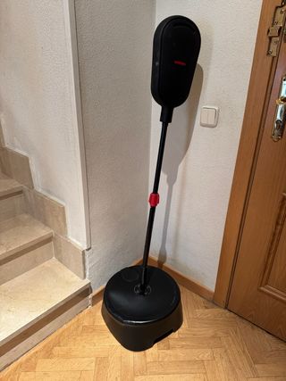 Saco de boxeo de pie