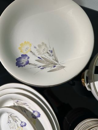 Vajilla clásica porcelana 50+ piezas