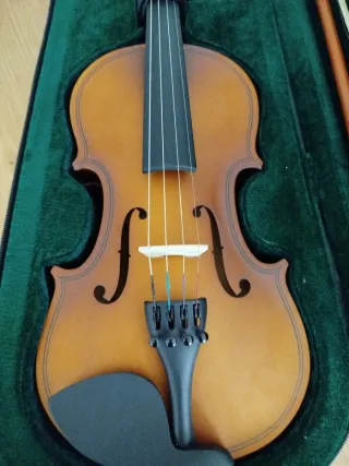 Violín  Amadeus VA101H 1/4