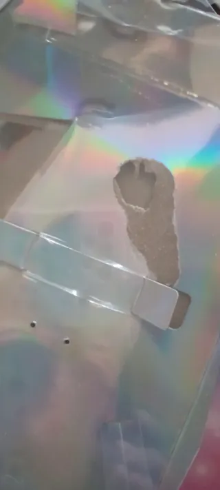 Winx Club Box Stella Fairy