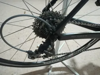 Bicicleta Specialized Roubaix Carbono