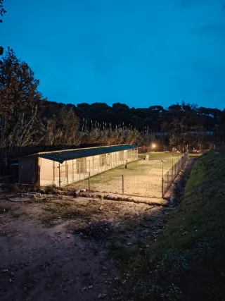 Residencia guardería canina