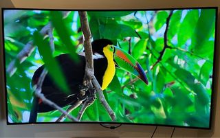 Samsung 65” Curvo + Soporte Vogels