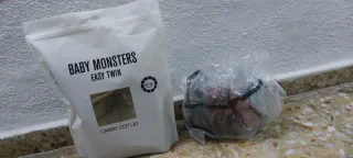 2 Capazos Gemelares Baby Monsters