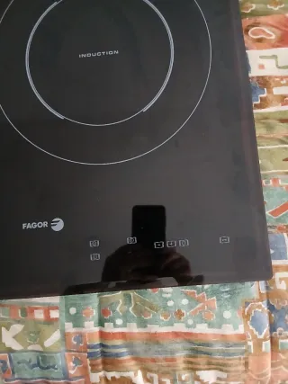 Placa Inducción Fagor