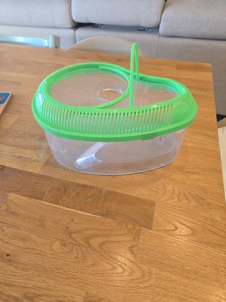 Terrario tortugas de agua