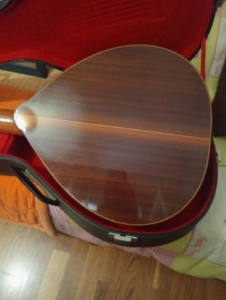 Laúd Pedro Martínez Peñalver