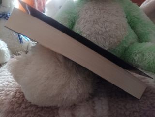 El vizconde y la cazafortunas (Spanish Edition)