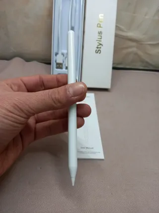 Stylus Pen per iPad