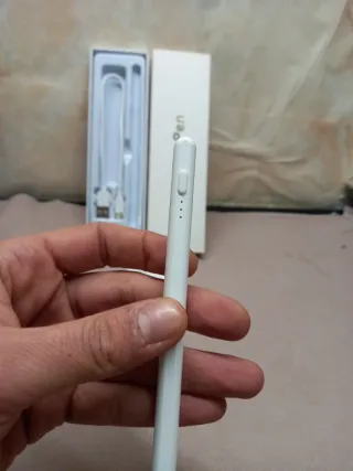 Stylus Pen per iPad