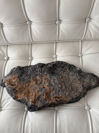 Fósil de Orthoceras