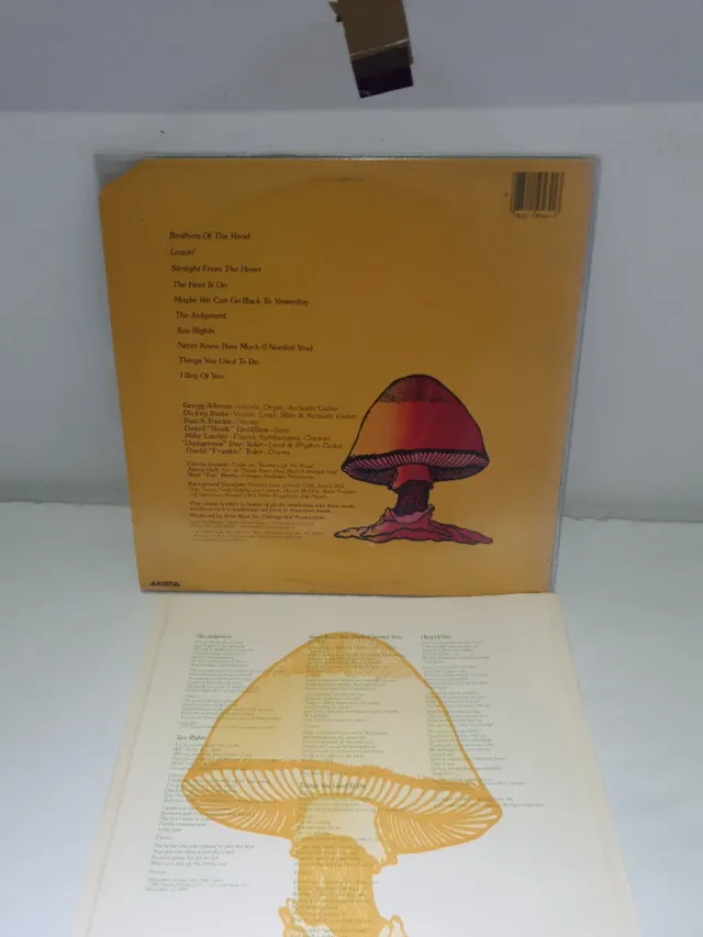 LP The Allman Brothers Band - Brothers of the Road