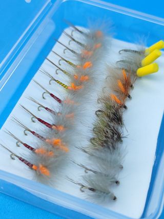 Set 24 Moscas CDC Pesca