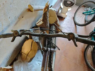 Bicicleta Globe Trotter mediana