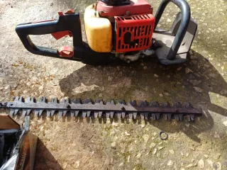 Tagliasiepe a scoppio